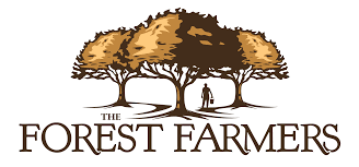 Forest Farmers Maple Water